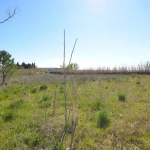 Terrain constructible plat et viabilisé à Saint Hilaire d'Ozilhan – 653 m²