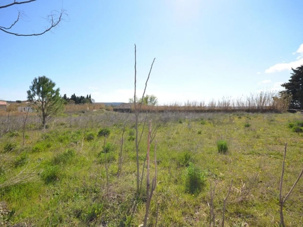 Terrain constructible plat et viabilisé à Saint Hilaire d'Ozilhan – 653 m²