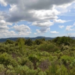 Terrain constructible à Puget de 1165 m² à vendre - Non viabilisé