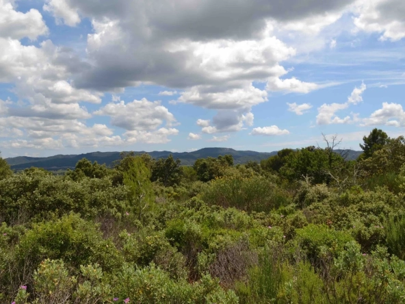 Terrain constructible à Puget de 1165 m² à vendre - Non viabilisé
