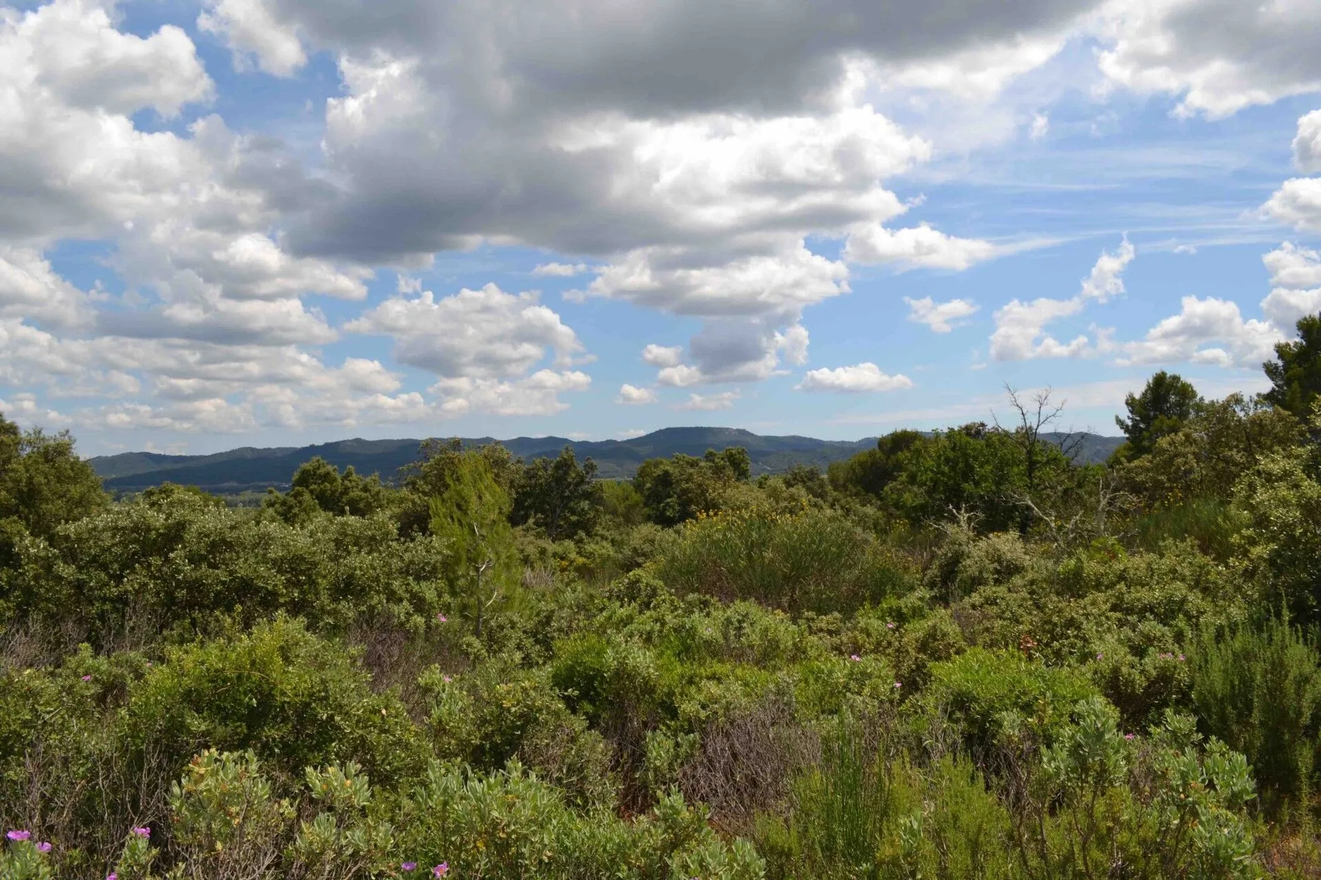 Terrain constructible à Puget de 1165 m² à vendre - Non viabilisé 