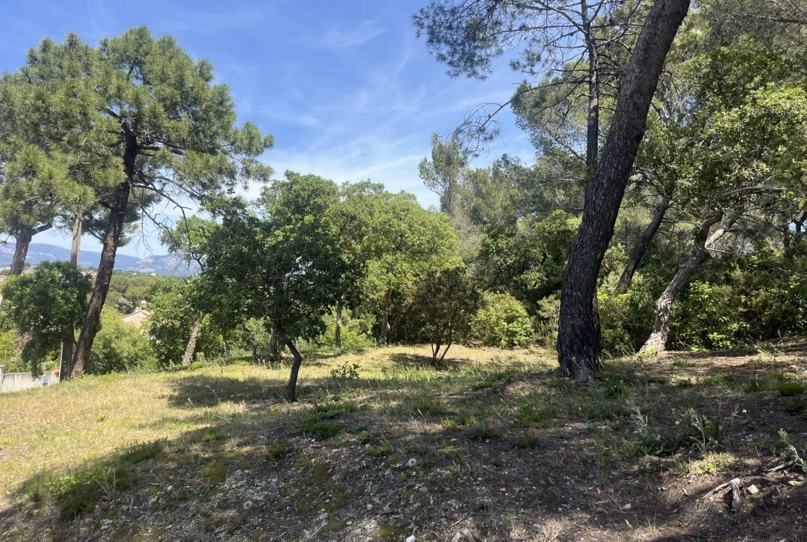 Terrain en zone naturelle forêt à vendre à Six-Fours-les-Plages 