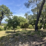 Terrain en zone naturelle forêt à vendre à Six-Fours-les-Plages