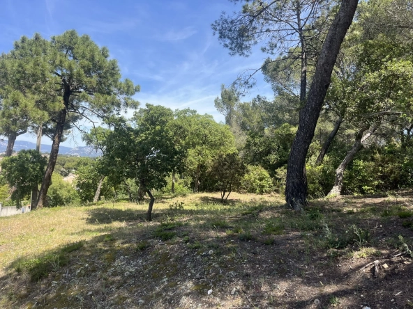 Terrain en zone naturelle forêt à vendre à Six-Fours-les-Plages