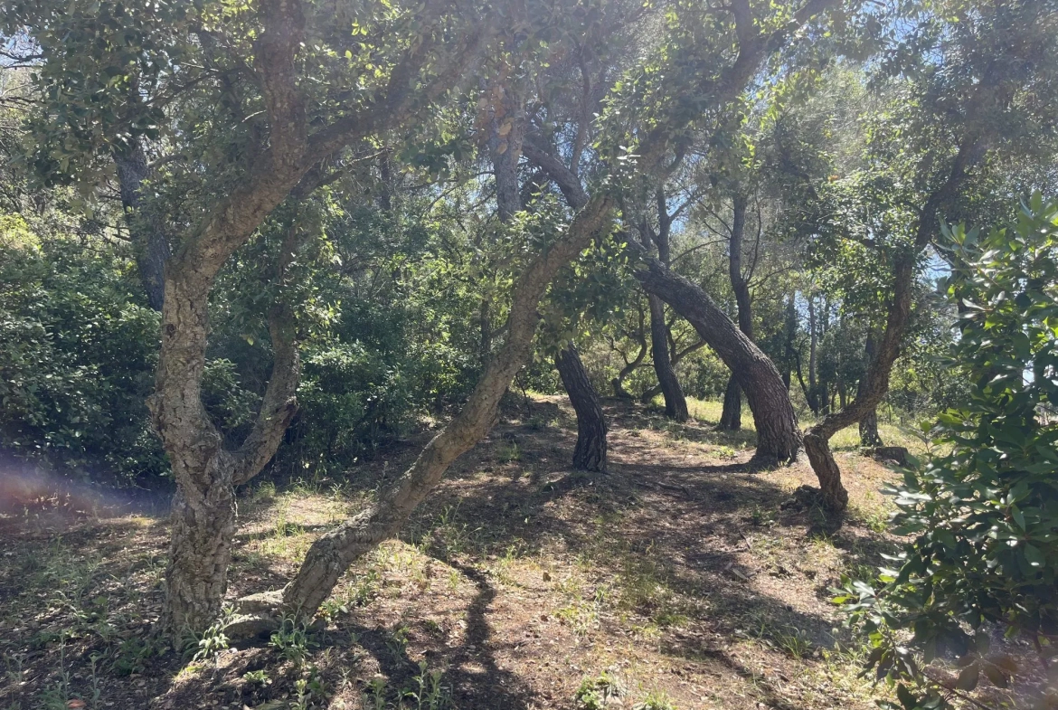 Terrain en zone naturelle forêt à vendre à Six-Fours-les-Plages 