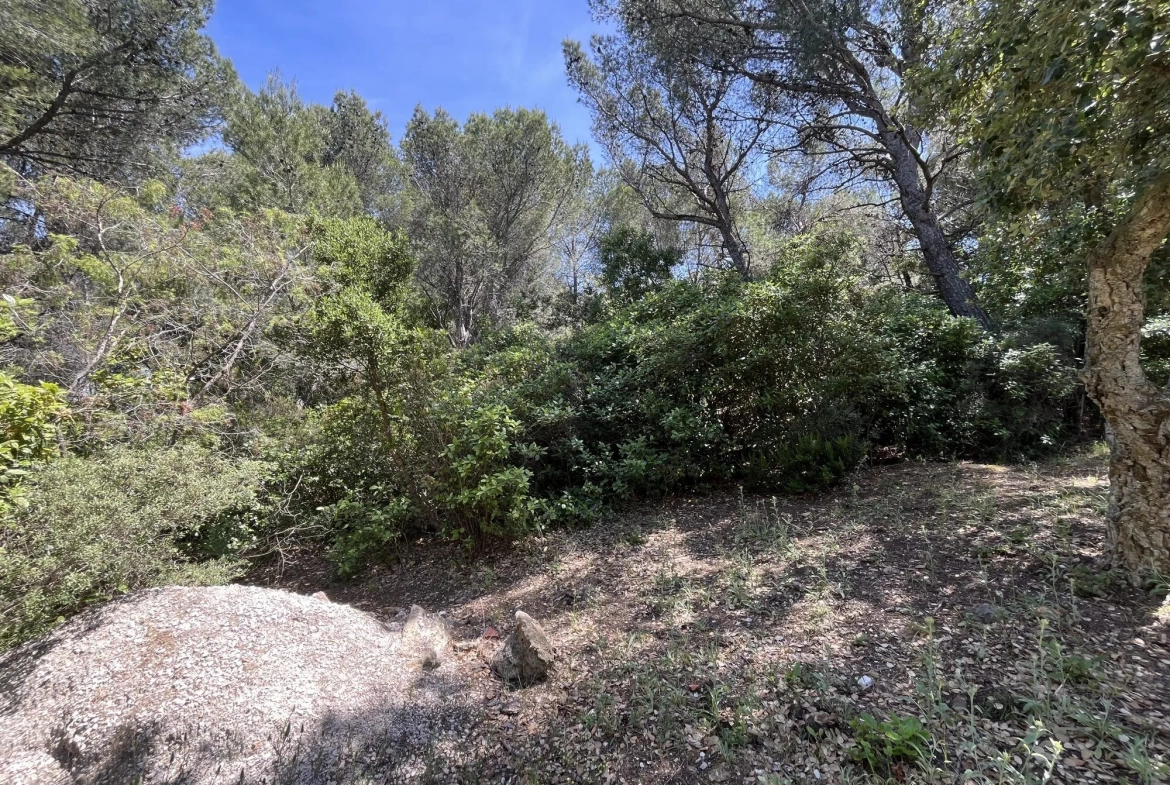 Terrain en zone naturelle forêt à vendre à Six-Fours-les-Plages 