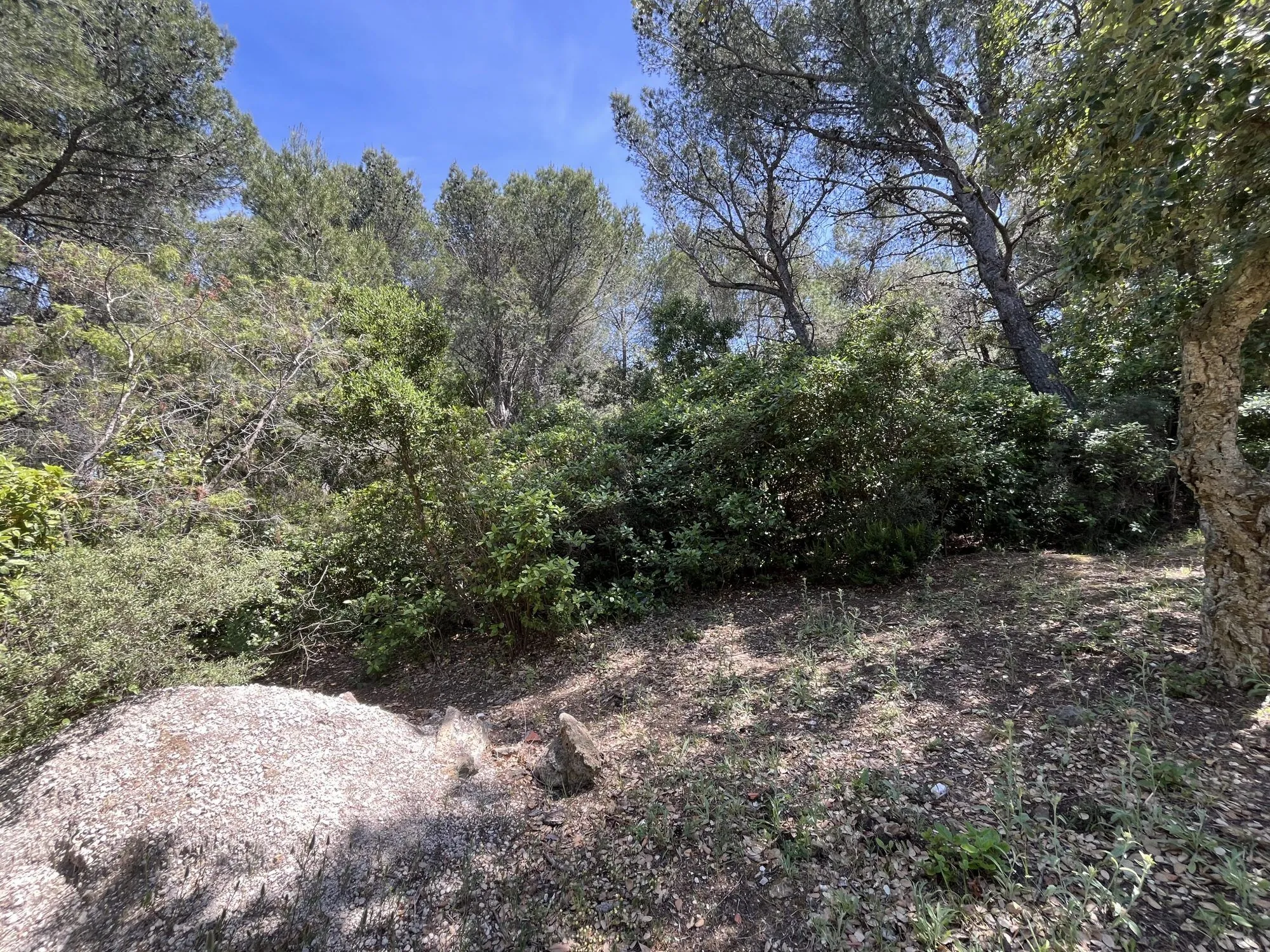 Terrain en zone naturelle forêt à vendre à Six-Fours-les-Plages 