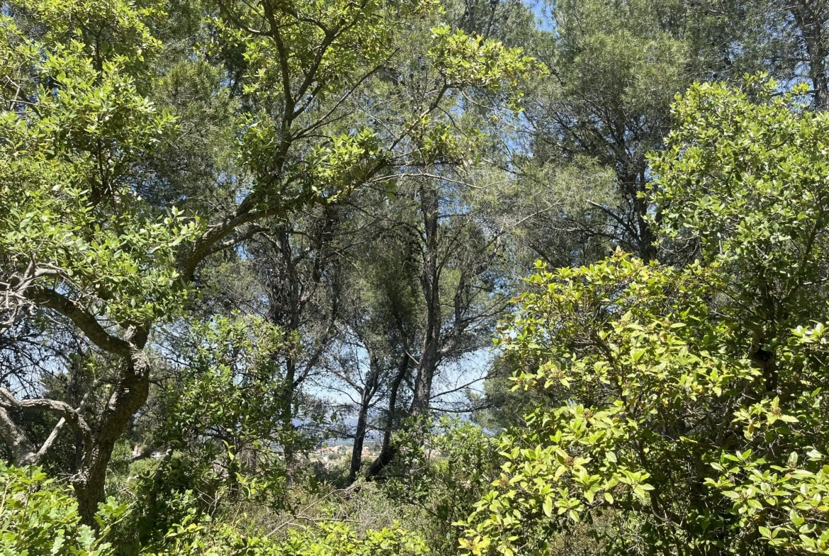 Terrain en zone naturelle forêt à vendre à Six-Fours-les-Plages 