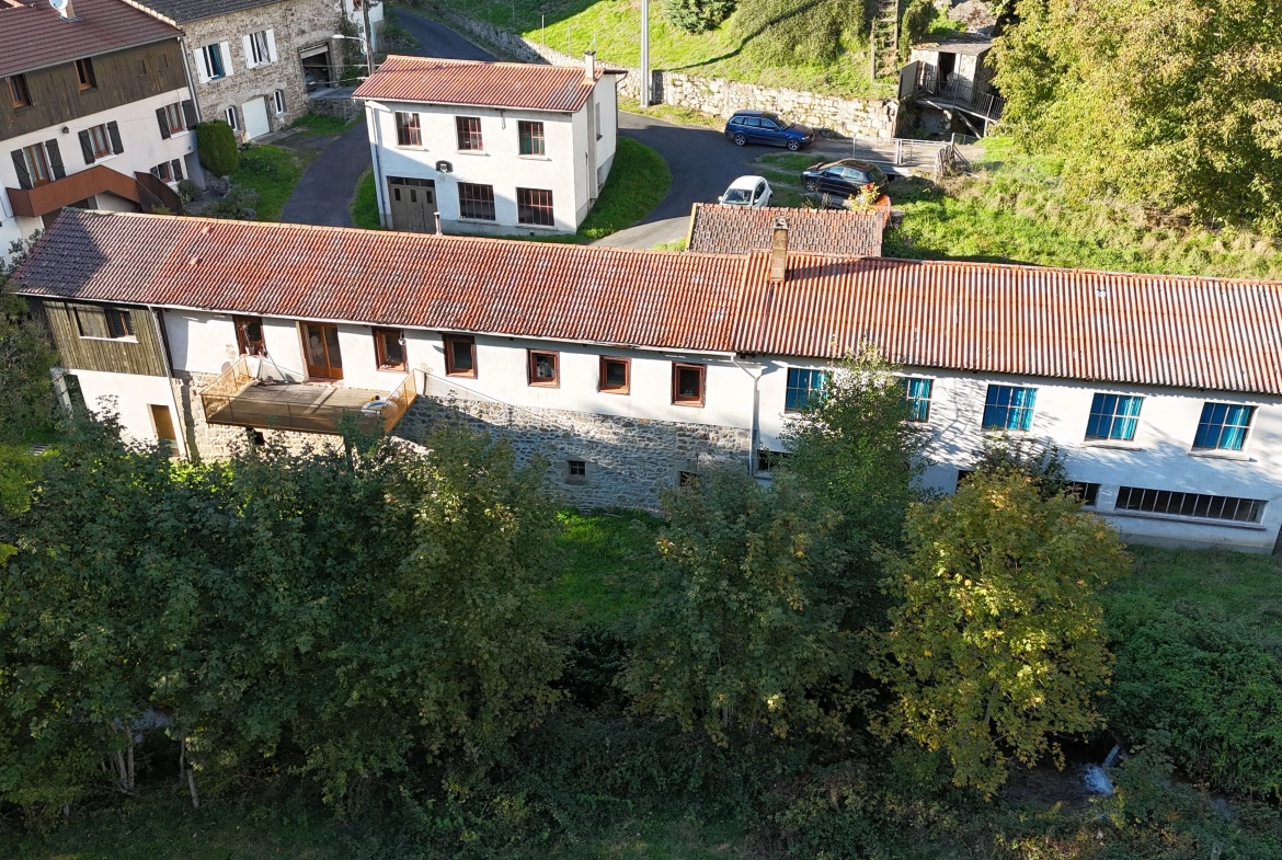 Longère rénovée avec dépendances à Ambert – Idéal artisan et famille 