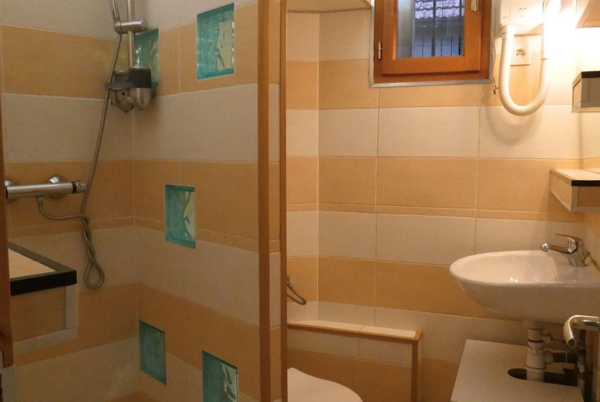 À vendre immeuble locatif à Faverges-Seythenex avec 3 logements meublés 