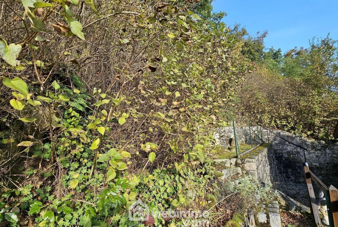 Charmante maison en pierre de 101 m² à Milly-la-Forêt avec terrain et dépendances 