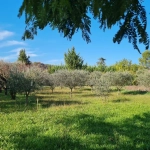 Terrain constructible de 900 m² à Pujaut avec permis pour villa contemporaine