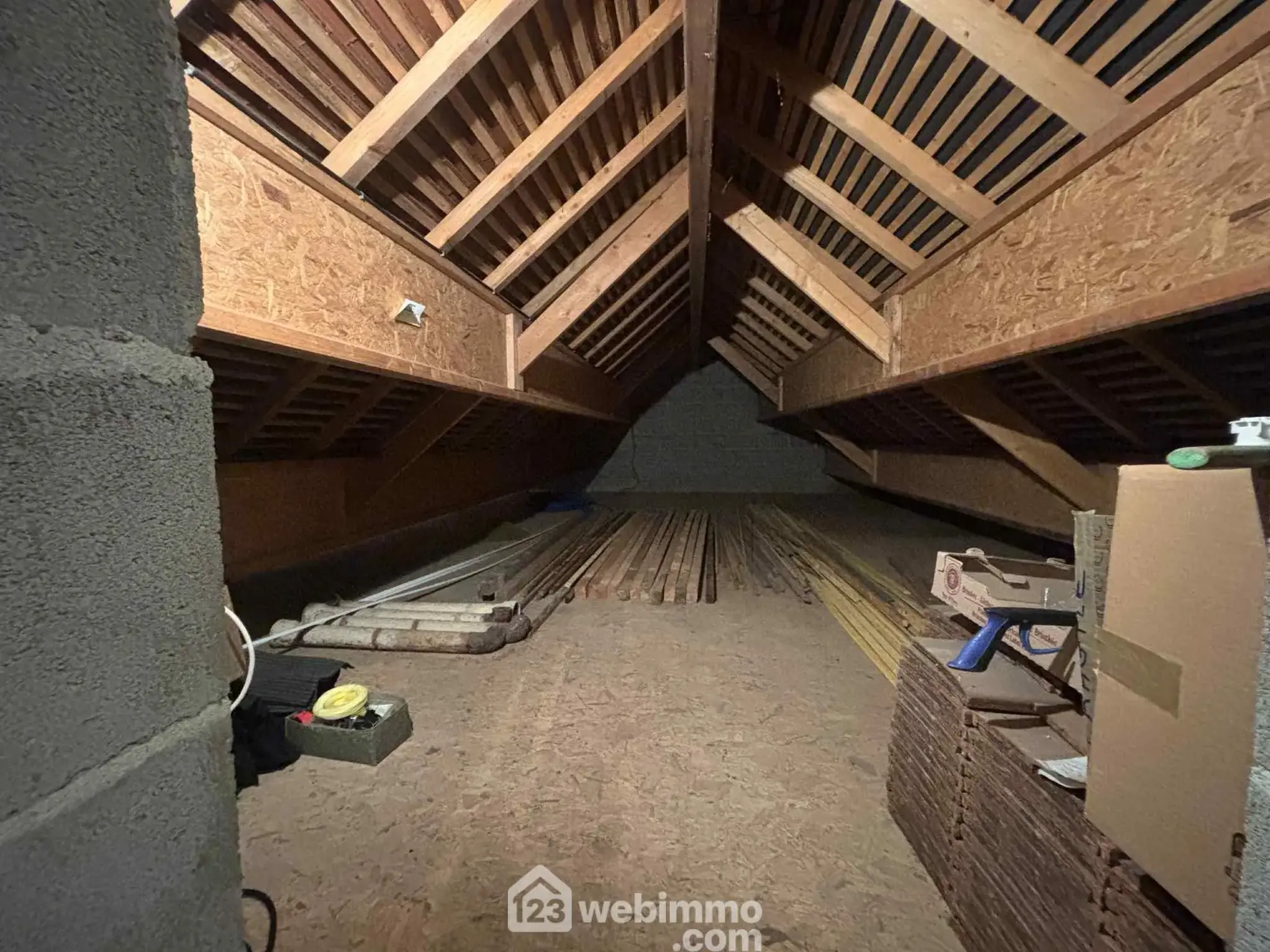 Maison familiale de 125 m² avec terrain arboré à Antran 