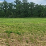 Terrain constructible de 1927m² à Lisle dans le Périgord Vert