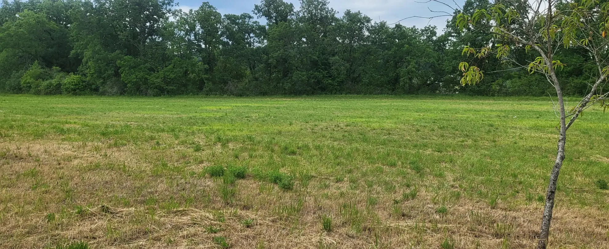 Terrain constructible de 1927m² à Lisle dans le Périgord Vert 