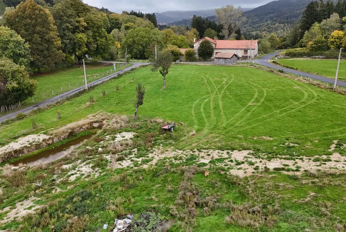 Propriété en pierre avec dépendances et terrain à Saint-Pierre-La-Bourlhonne 