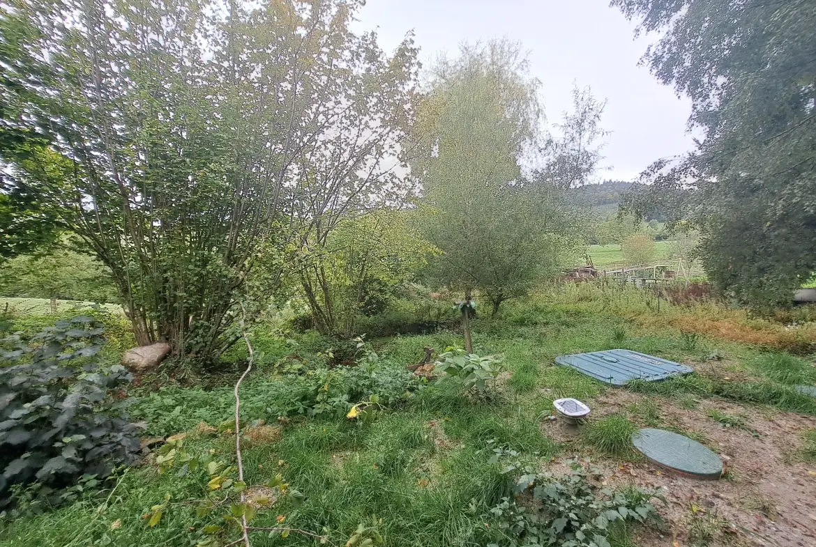 Propriété en pierre avec dépendances et terrain à Saint-Pierre-La-Bourlhonne 