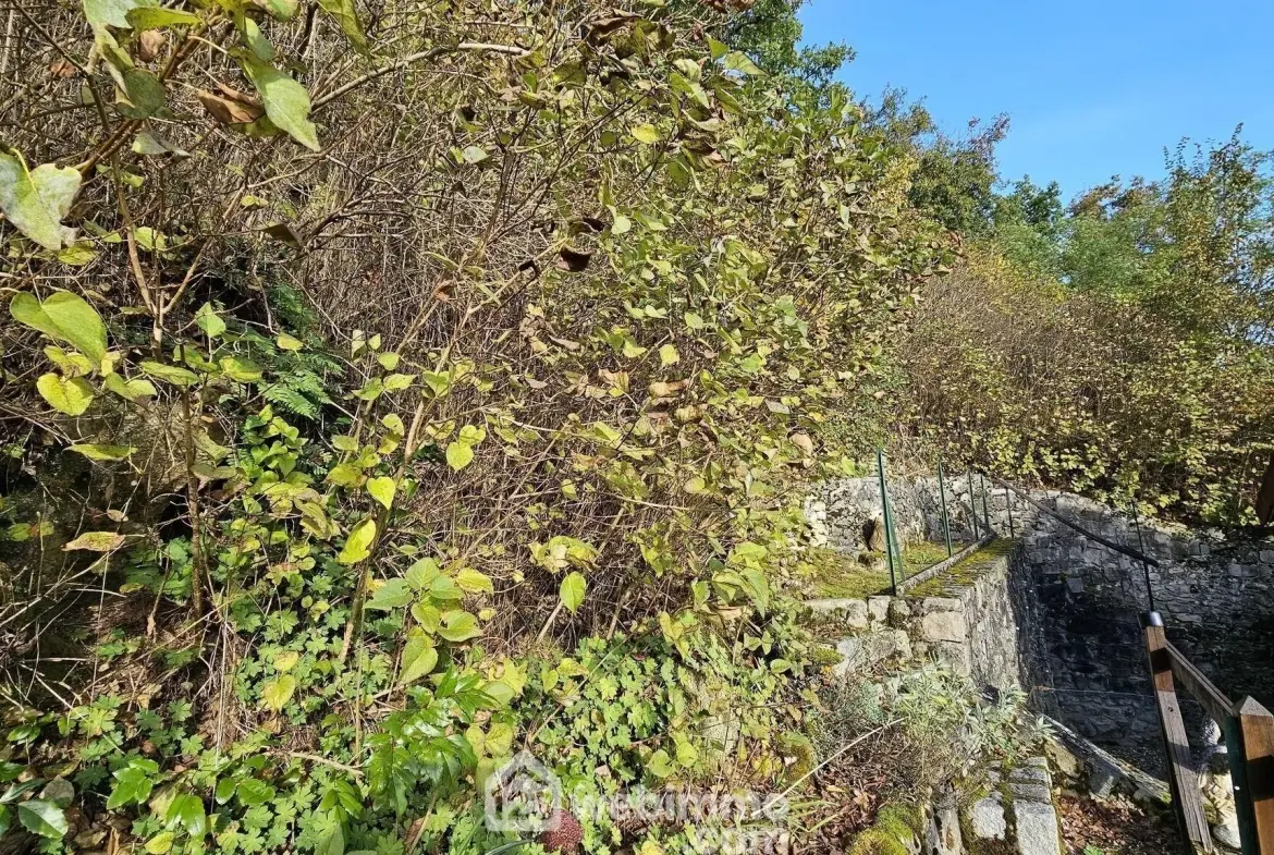 Maison en pierre de 102 m² avec dépendances à Boigneville 