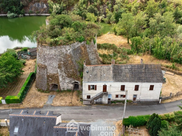 Maison atypique rénovée en 2023 à Chalonnes-sur-Loire avec grand terrain