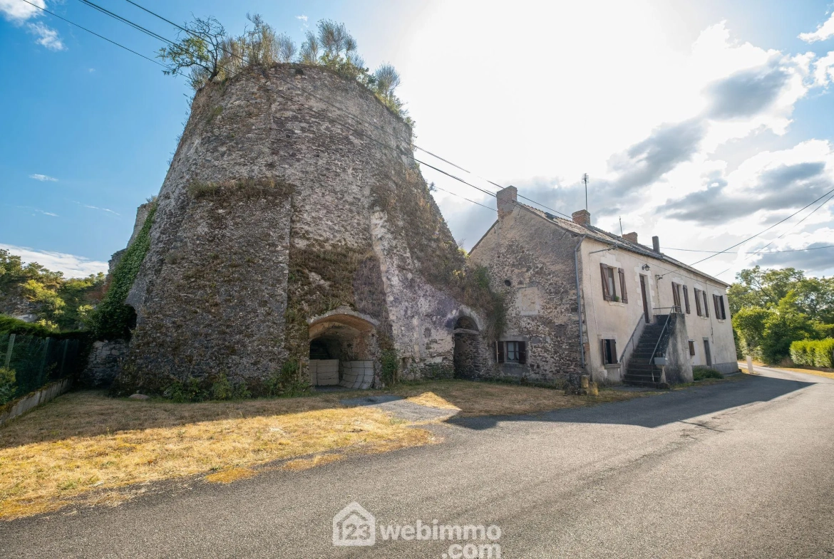 Maison atypique rénovée en 2023 à Chalonnes-sur-Loire avec grand terrain 