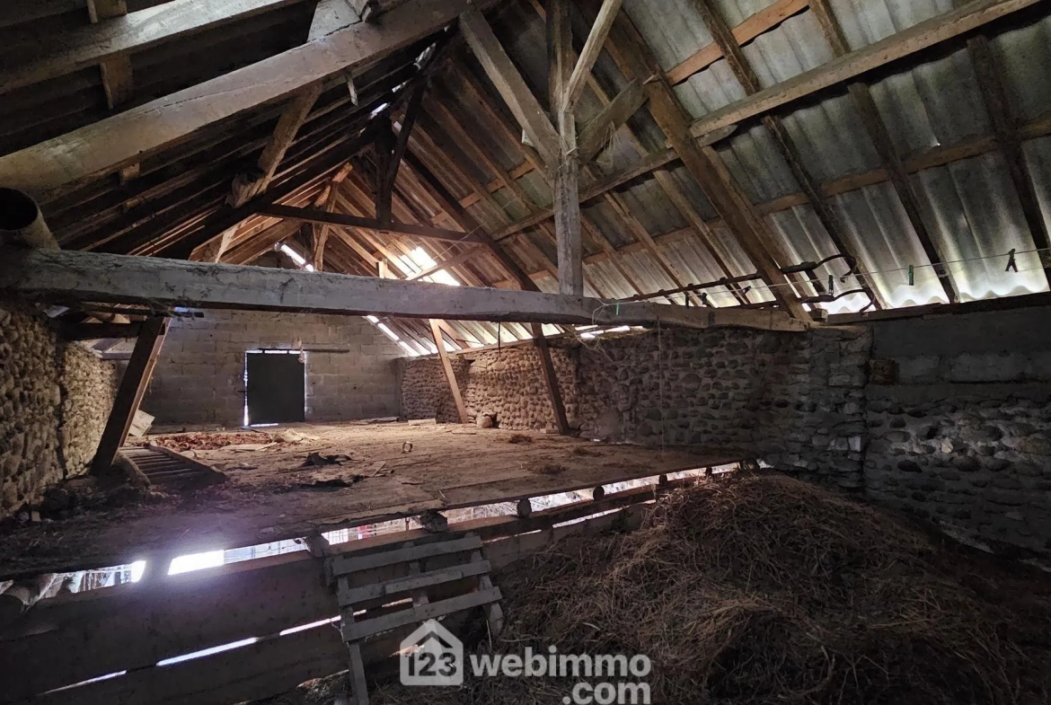 Charmante maison ancienne avec terrain à Baliros, vue Pyrénées 