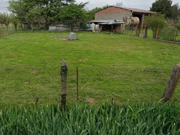 Terrain à vendre à Terssac de 650 m² dans un lotissement viabilisé