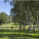 Appartement 3 pièces à Toulouse avec terrasse et parking - Neuf, énergie positive