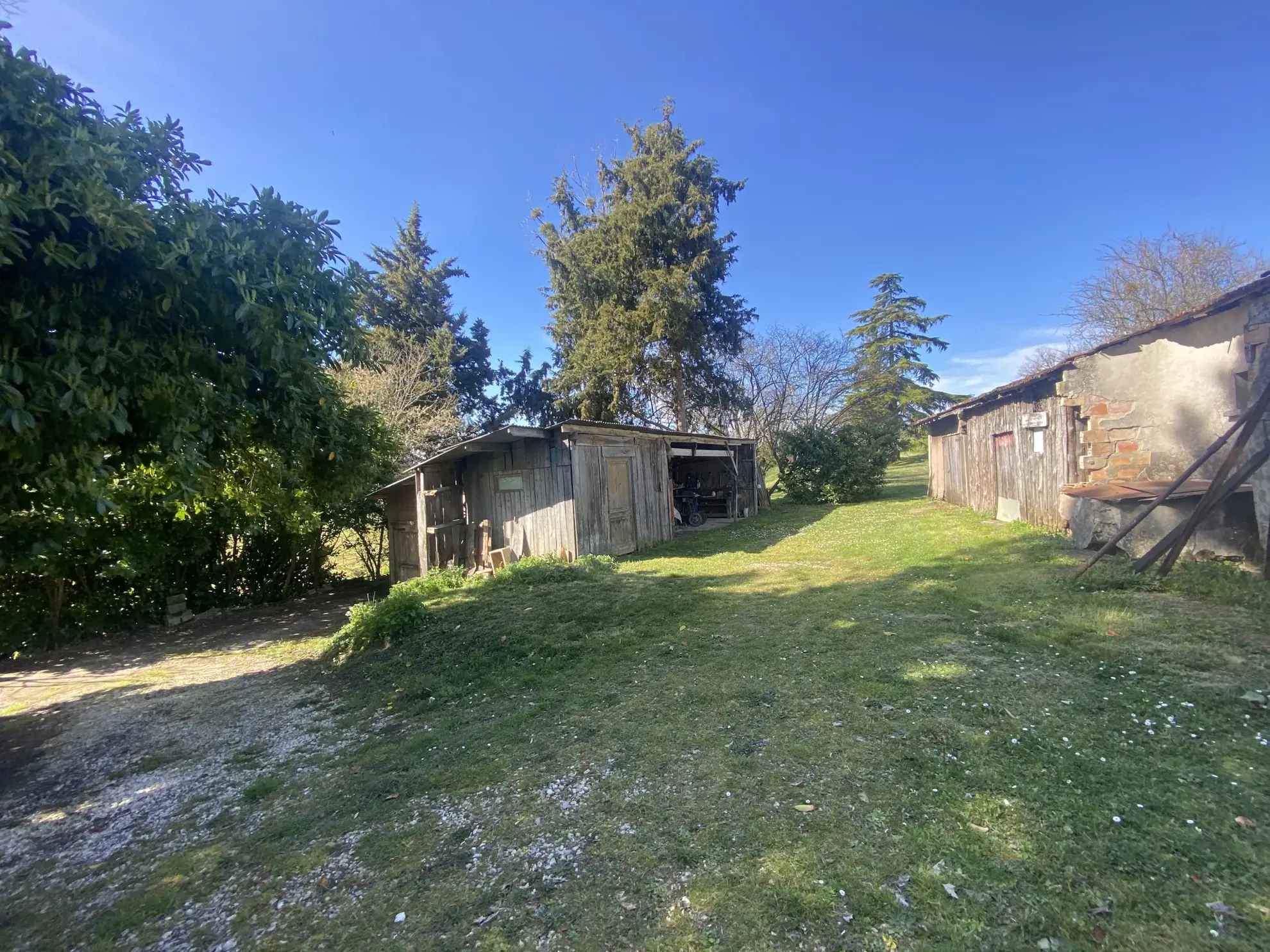 Maison de plain-pied avec dépendances sur 1 hectare à Monségur 