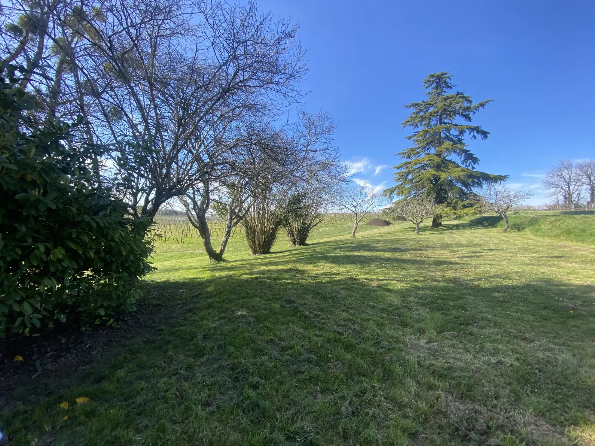 Maison de plain-pied avec dépendances sur 1 hectare à Monségur 