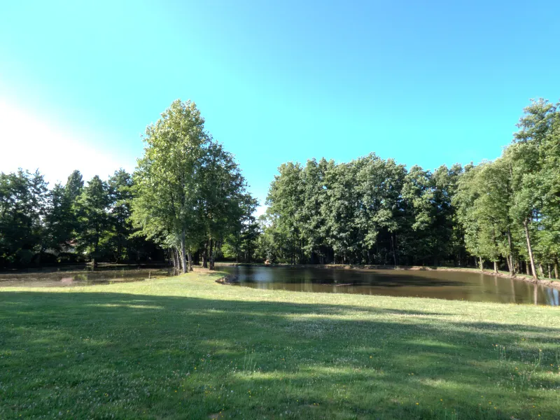 Terrain de loisir de 13 512 m² avec étangs, prairie et forêt à Nieul-le-Dolent 