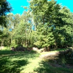 Terrain de loisir de 13 512 m² avec étangs, prairie et forêt à Nieul-le-Dolent