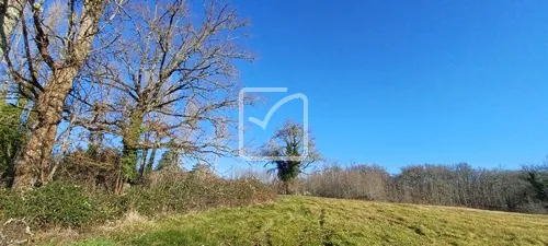 Terrain constructible de 4000 m² à Fajoles, environnement calme et boisé 