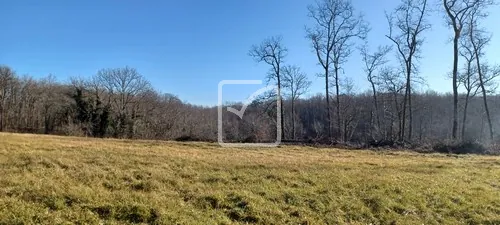 Terrain constructible de 4000 m² à Fajoles, environnement calme et boisé 