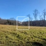 Terrain constructible de 4000 m² à Fajoles, environnement calme et boisé