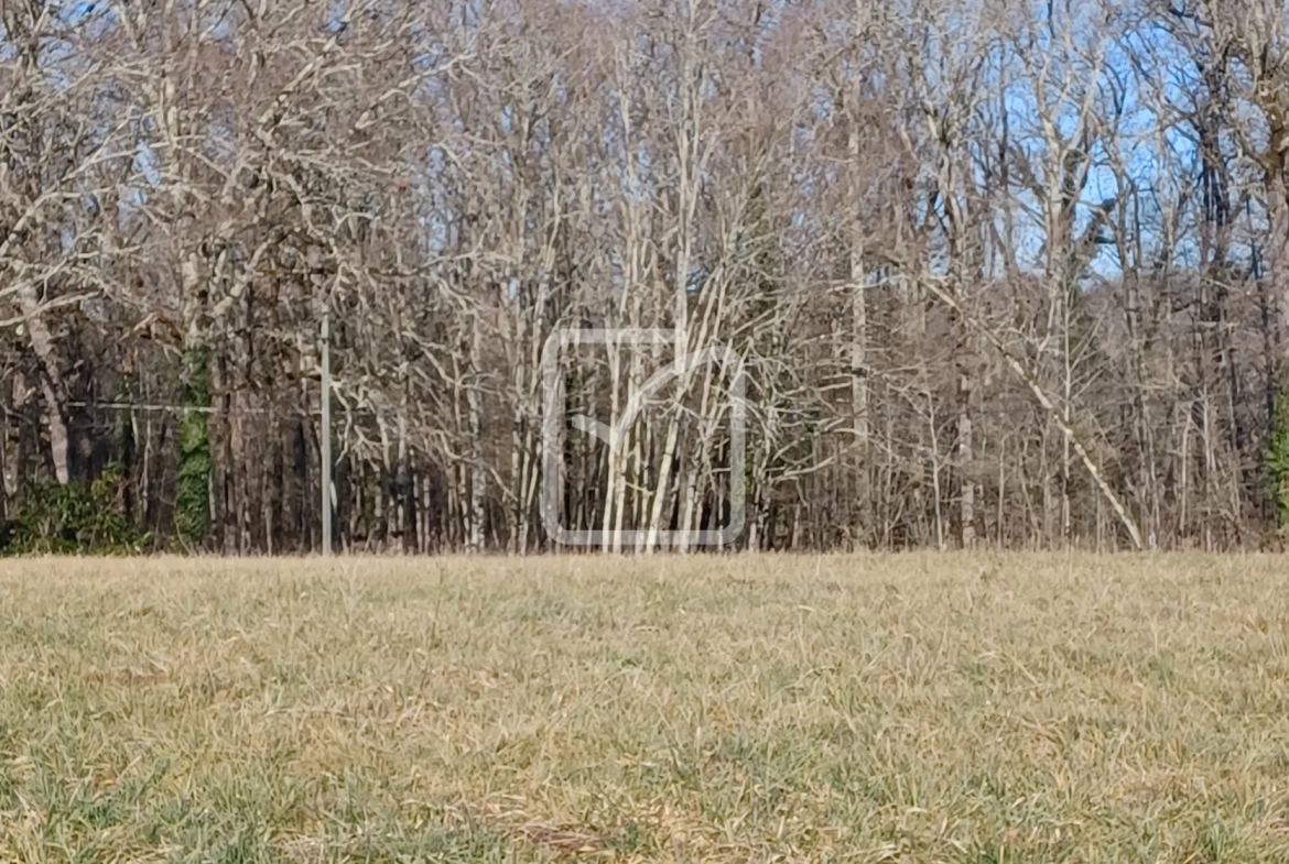 Terrain constructible de 4000 m² à Fajoles, environnement calme et boisé 