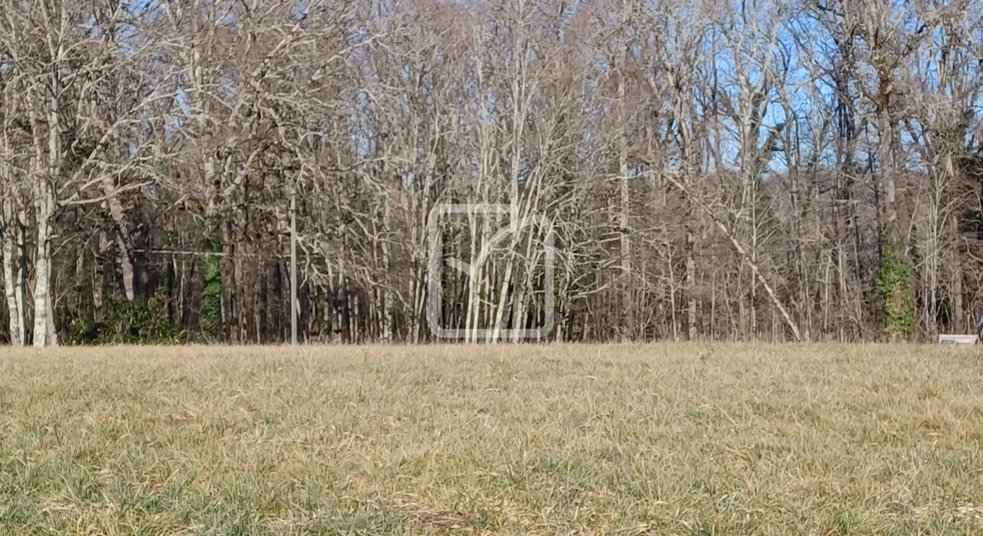 Terrain constructible de 4000 m² à Fajoles, environnement calme et boisé 