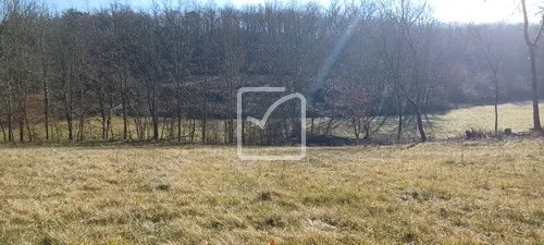 Terrain constructible de 4000 m² à Fajoles, environnement calme et boisé 