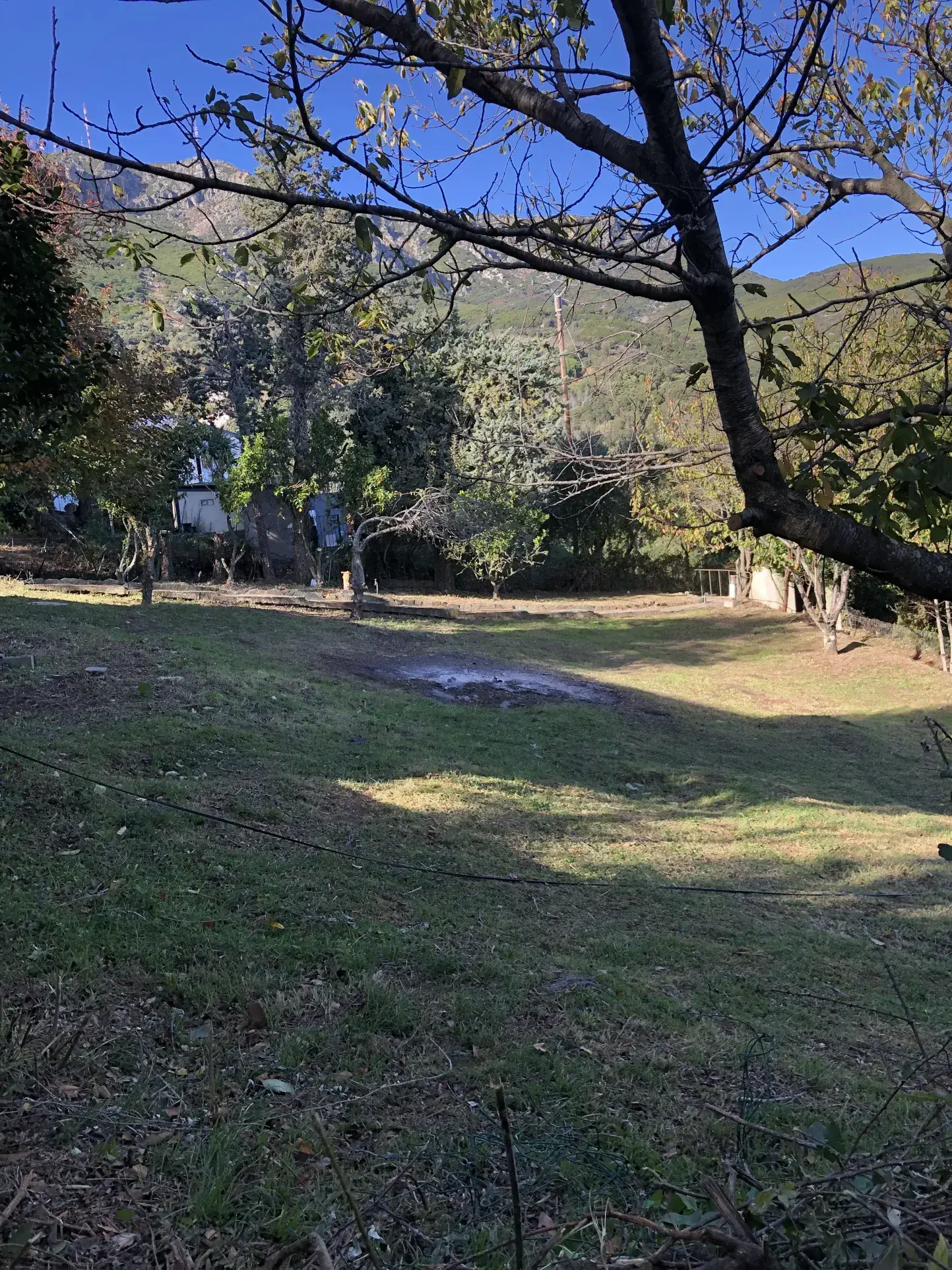 Maison de 100 m² à Bastia avec jardin et grande terrasse à vendre 