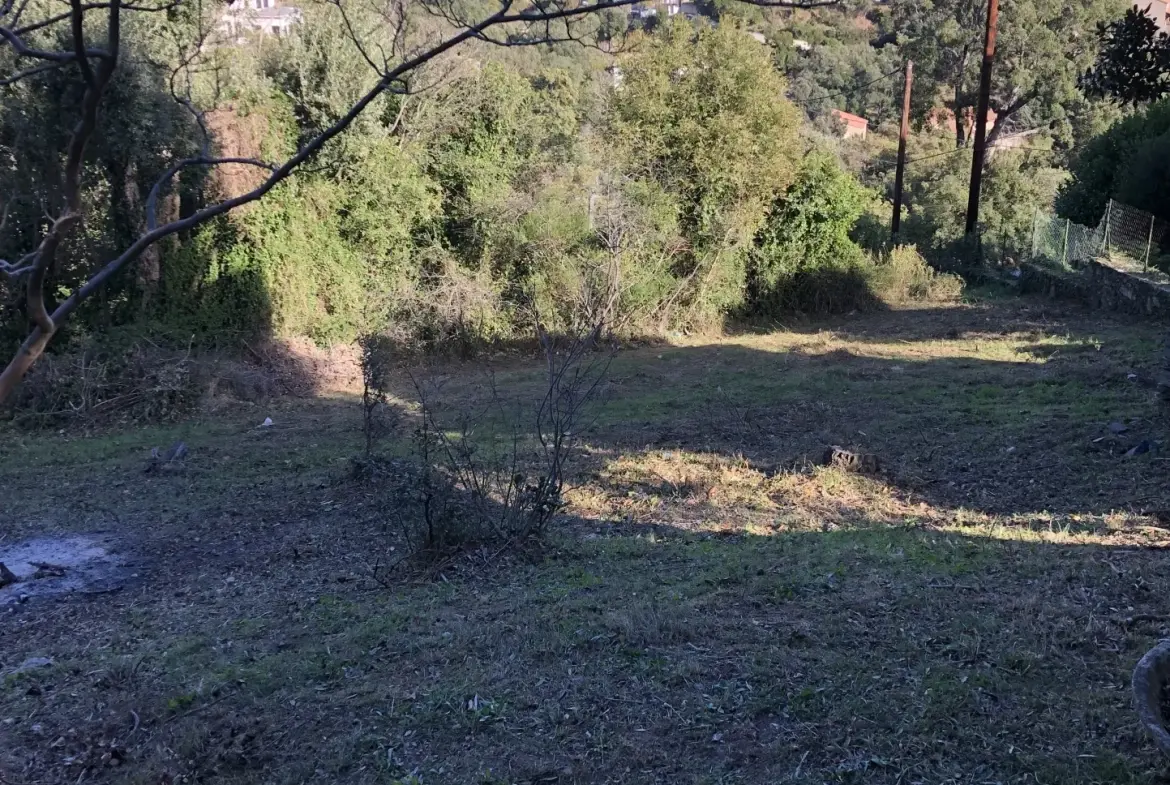 Maison de 100 m² à Bastia avec jardin et grande terrasse à vendre 
