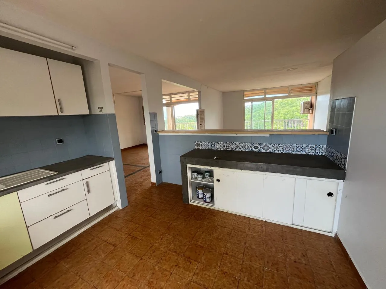 Appartement F4 avec vue mer à Schoelcher - Ravine Touza 