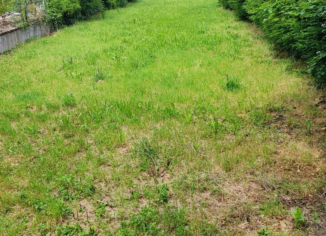 Maison de ville récente 210 m² avec terrain à Voujeaucourt 