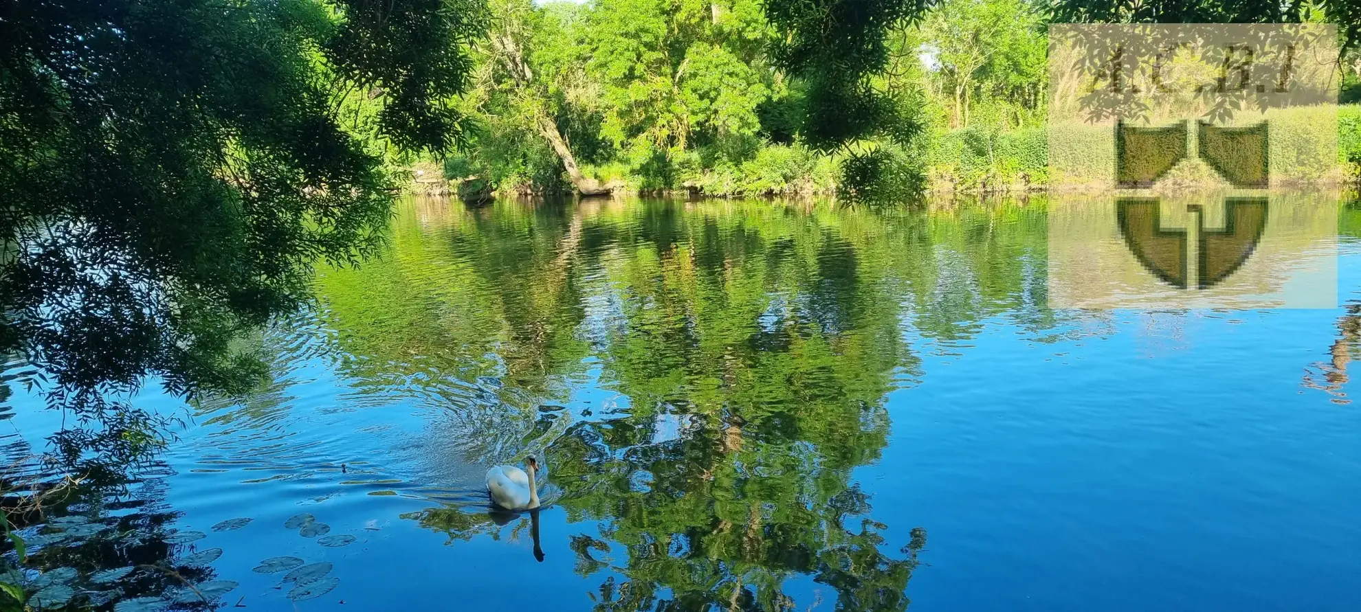 Longère en bord du Loir avec jardin, proche de Vendôme – Charme et authenticité 