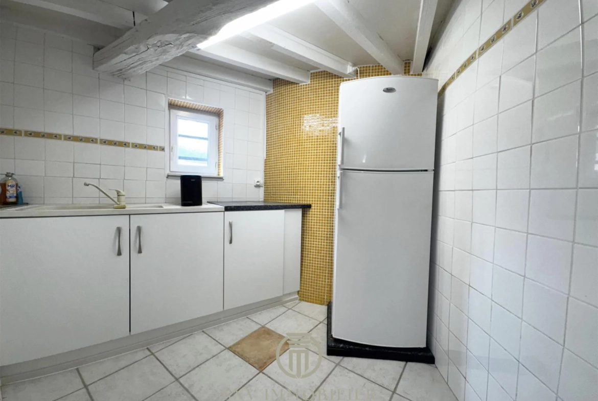 Maison de charme entièrement rénovée avec jardin, garage et dépendances à Lapalisse 