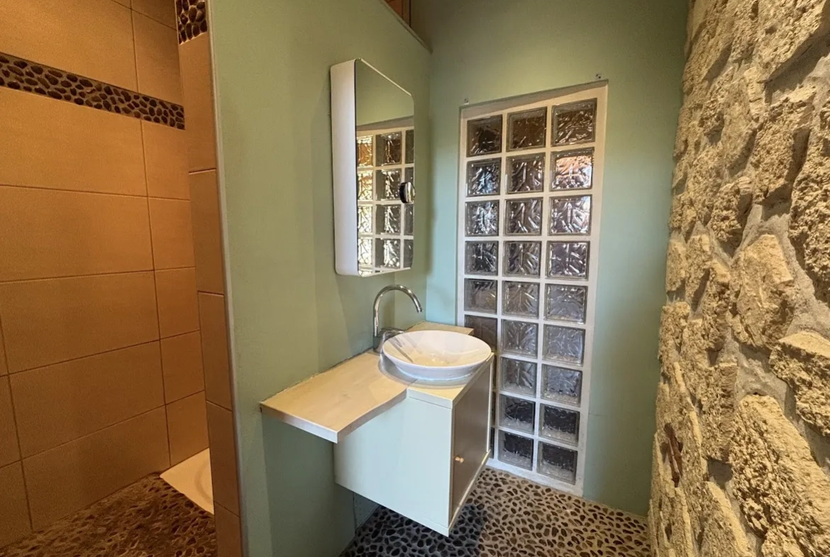 Maison de ville avec cour et charme authentique à Fleurance 