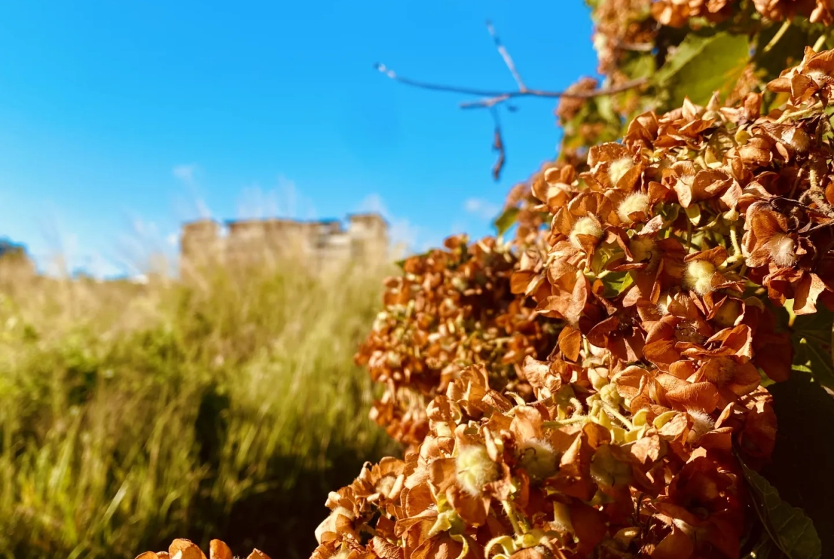 Terrains à vendre à Sainte-Marie - Parcelles viabilisées de 280m² à 420m² dans le Hameau 