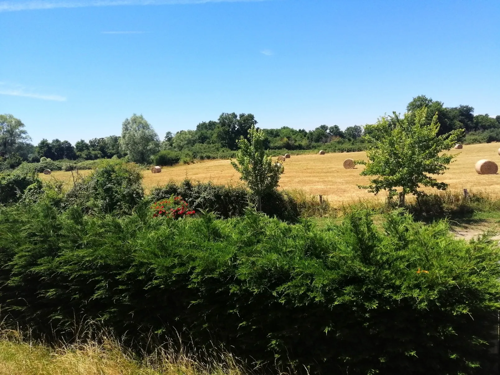 Maison de campagne avec grand terrain à vendre près de Nevers 