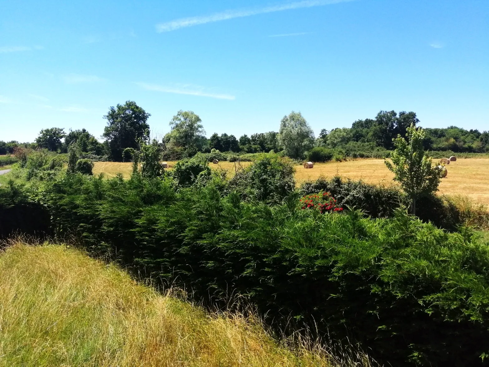 Maison de campagne avec grand terrain à vendre près de Nevers 
