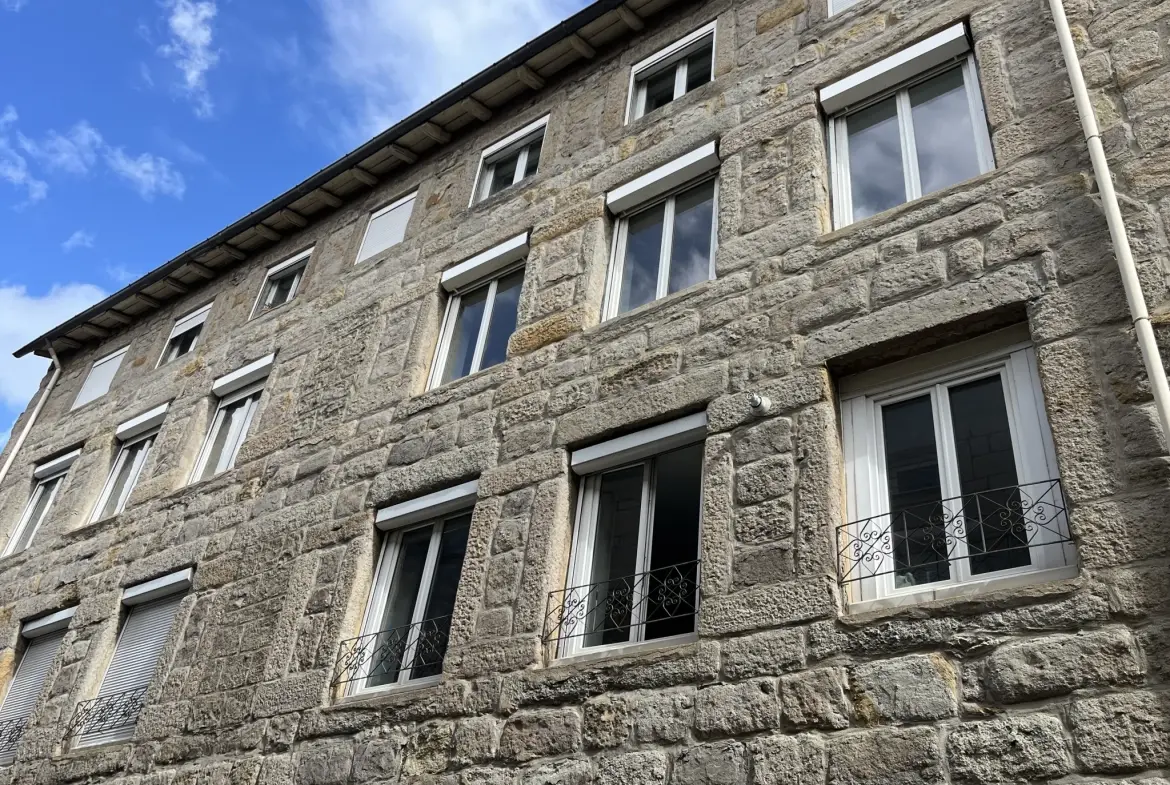 Appartement 3 chambres à Saint-Étienne proche Faculté Jean Monnet - Investissement locatif idéal 