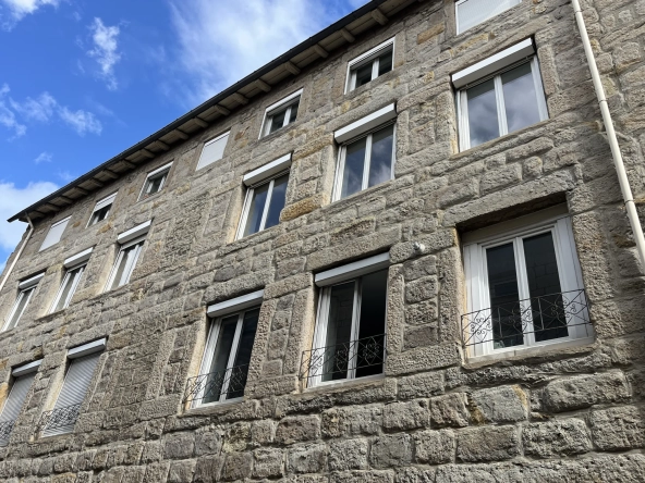 Appartement 3 chambres à Saint-Étienne proche Faculté Jean Monnet - Investissement locatif idéal