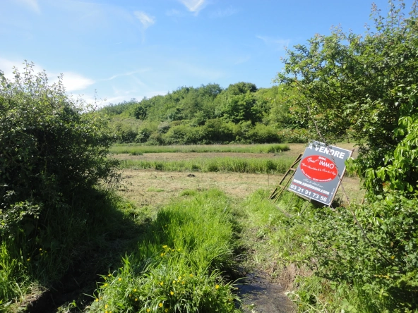 Terrain constructible de 716 m² à Caffiers, plein sud, idéal pour votre projet résidentiel